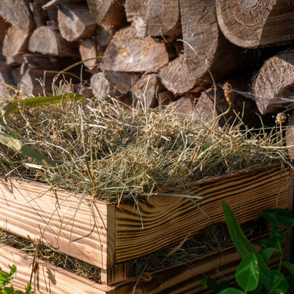 Kräuterheu Premium Gartenmulch – 100% Naturheu aus Kräuterwiesen – Bodenabdeckung für Hochbeet Gemüse & Zierpflanzen – Nachhaltiger Mulch aus erstem Schnitt