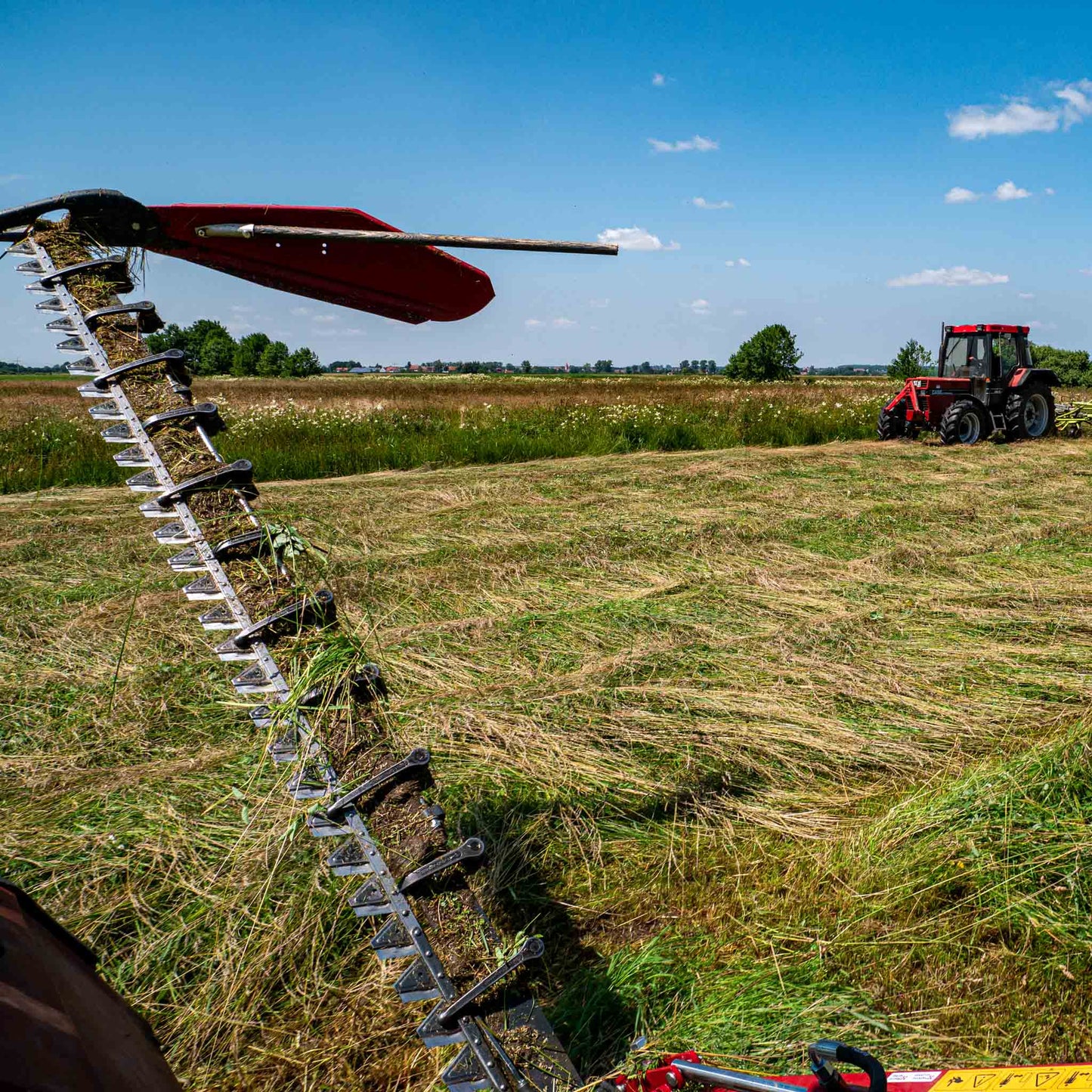 Kräuterheu Premium Gartenmulch – 100% Naturheu aus Kräuterwiesen – Bodenabdeckung für Hochbeet Gemüse & Zierpflanzen – Nachhaltiger Mulch aus erstem Schnitt