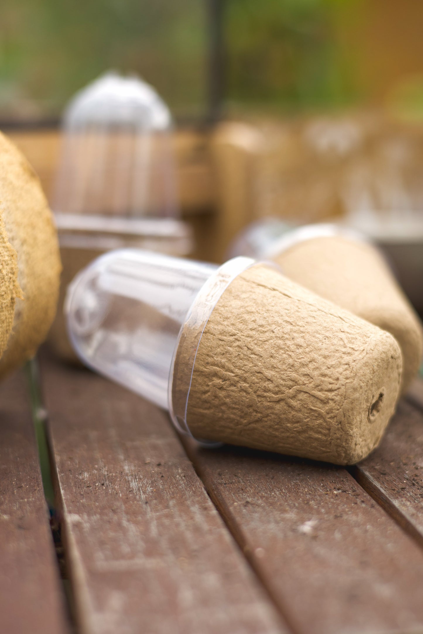 Kompostierbarer Anzuchttopf mit Belüftung & Deckel – 6cm Bio Anzuchttopf für Gemüse, Kräuter & Setzlinge – 100% abbaubar mit Drainageloch