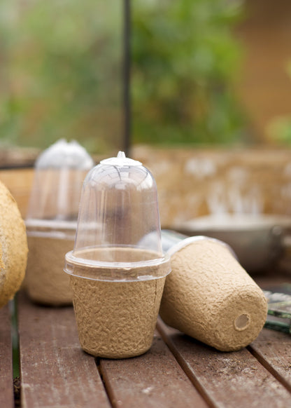 Kompostierbarer Anzuchttopf mit Belüftung & Deckel – 6cm Bio Anzuchttopf für Gemüse, Kräuter & Setzlinge – 100% abbaubar mit Drainageloch