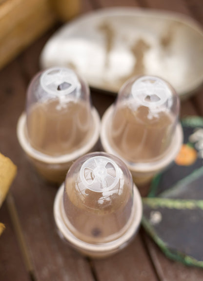 Kompostierbarer Anzuchttopf mit Belüftung & Deckel – 6cm Bio Anzuchttopf für Gemüse, Kräuter & Setzlinge – 100% abbaubar mit Drainageloch