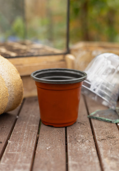 5er Set Kunststoff Pflanztöpfe mit Belüftungsdeckel – 9,5cm Anzuchttöpfe mit Drainage – Wiederverwendbare Blumentöpfe für Kräuter, Gemüse & Setzlinge