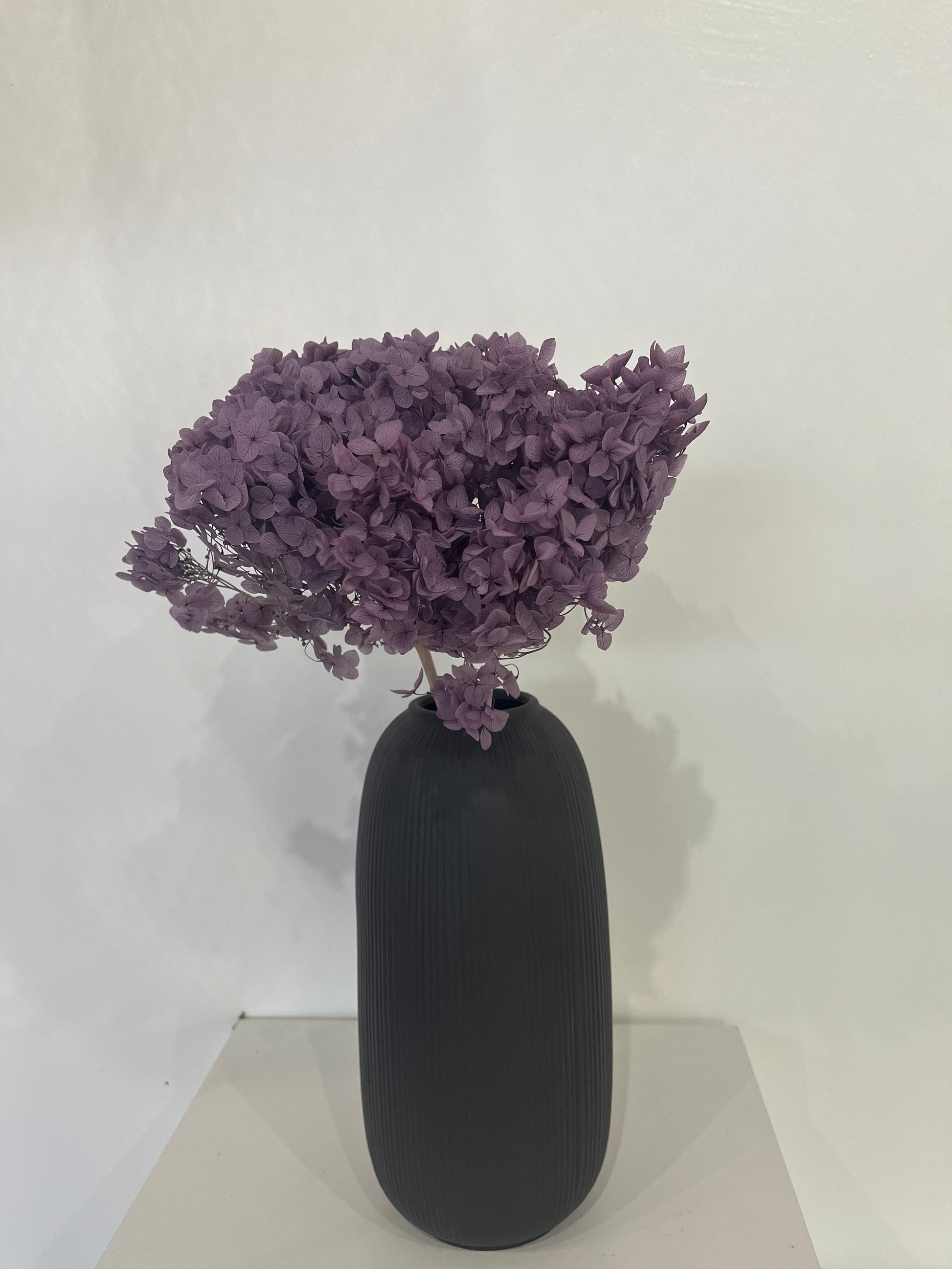 Rispenhortensie: Zeitlose Schönheit, konservierte Hortensien als perfekte Dekoration 