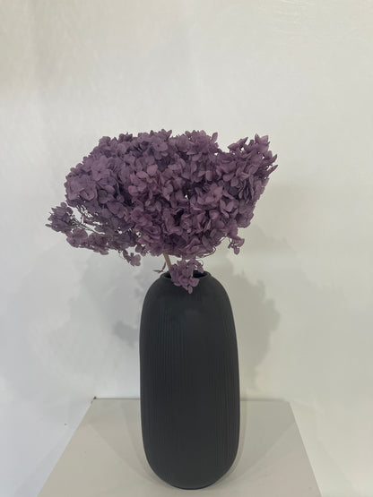 Rispenhortensie: Zeitlose Schönheit, konservierte Hortensien als perfekte Dekoration 