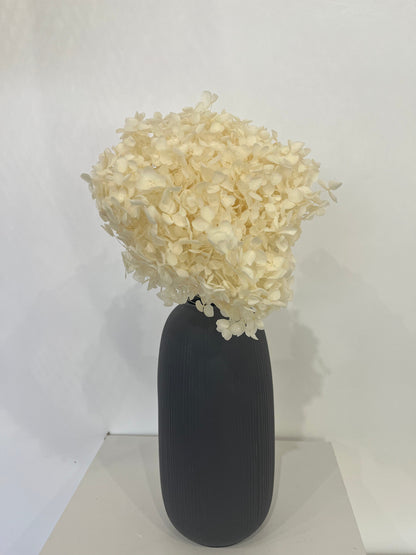 Rispenhortensie: Zeitlose Schönheit, konservierte Hortensien als perfekte Dekoration 