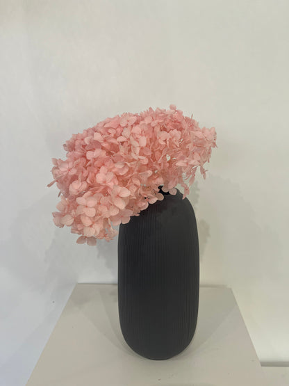 Rispenhortensie: Zeitlose Schönheit, konservierte Hortensien als perfekte Dekoration 