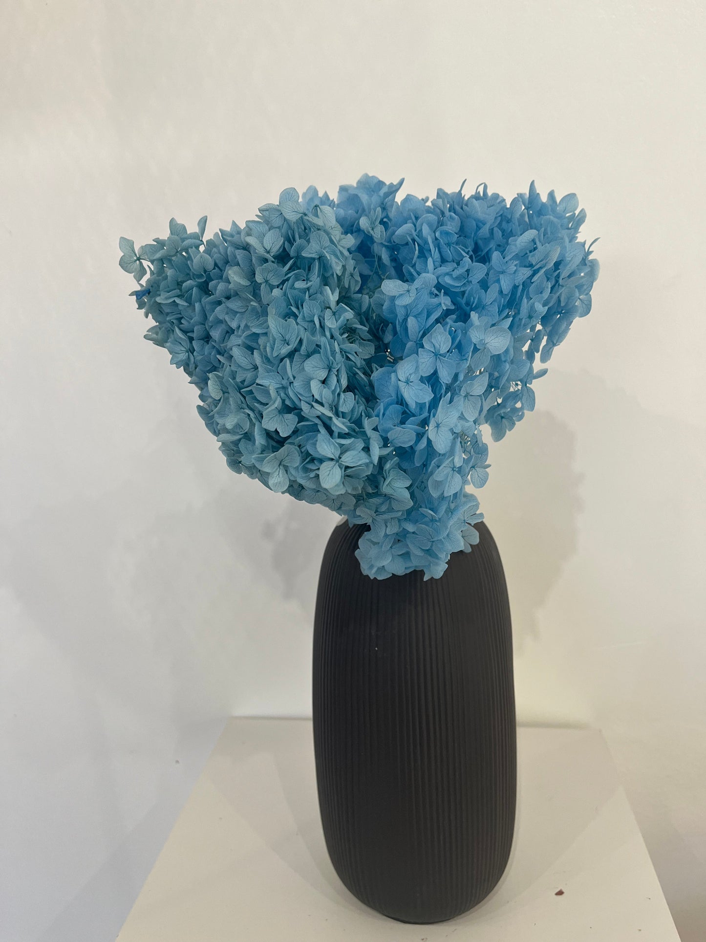 Rispenhortensie: Zeitlose Schönheit, konservierte Hortensien als perfekte Dekoration 