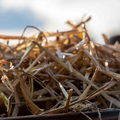 Garten Strohmulch aus Gerstenstroh – Natürlicher Mulch für Beete Hochbeet & Gemüse – Staubarm mit hoher Saugkraft – Nachhaltige Bodenabdeckung aus regionalem Anbau