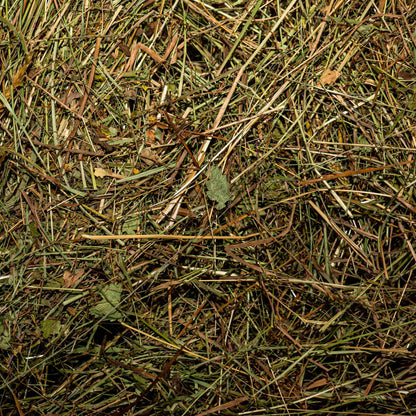 Kräuterheu Premium Gartenmulch – 100% Naturheu aus Kräuterwiesen – Bodenabdeckung für Hochbeet Gemüse & Zierpflanzen – Nachhaltiger Mulch aus erstem Schnitt