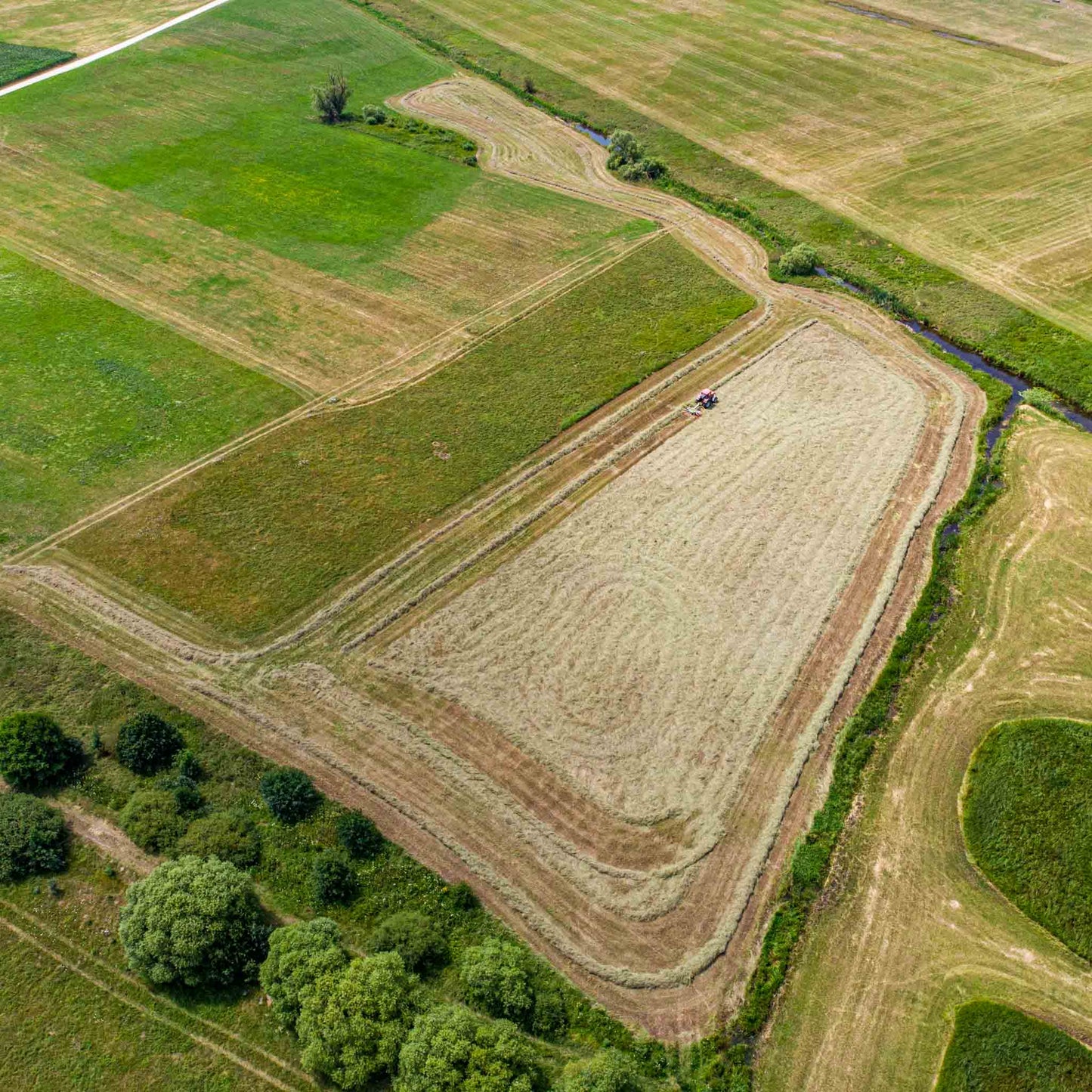 Kräuterheu Premium Gartenmulch – 100% Naturheu aus Kräuterwiesen – Bodenabdeckung für Hochbeet Gemüse & Zierpflanzen – Nachhaltiger Mulch aus erstem Schnitt