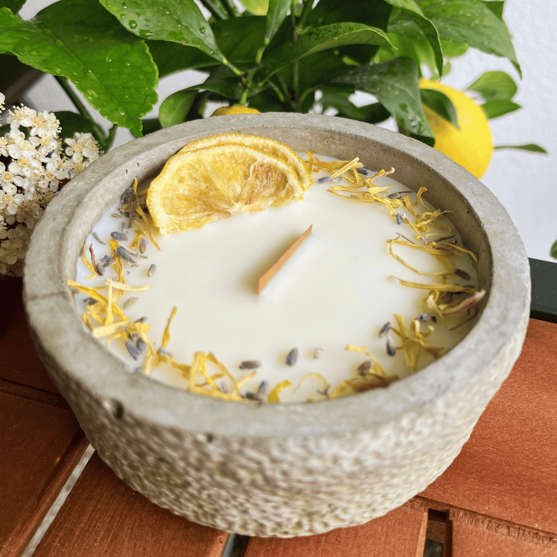 Limitierte Einzelstücke: Outdoor Citronella-Betonkerze „Mugge Schreck“ – Handgemachter Insektenschutz aus dem Südschwarzwald mit Blütenverzierung 