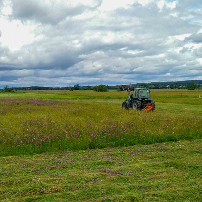 Kräuterheu Pellets Gartenmulch – 100% Naturpellets aus Kräuterwiesen – Organischer Bodenverbesserer für Hochbeet Gemüse & Zierpflanzen – Nachhaltige Mulchpellets