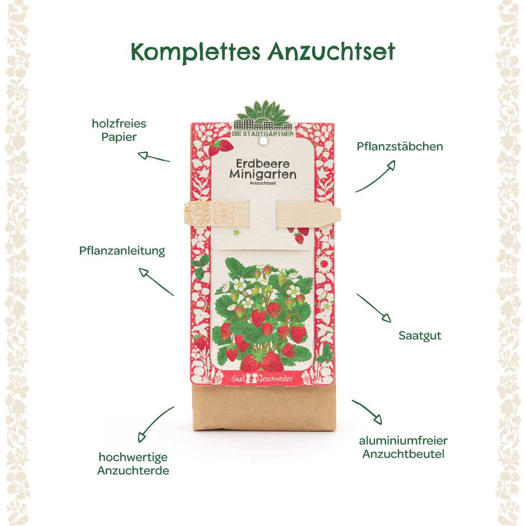 Anzuchtset – Minigarten Erdbeeren 