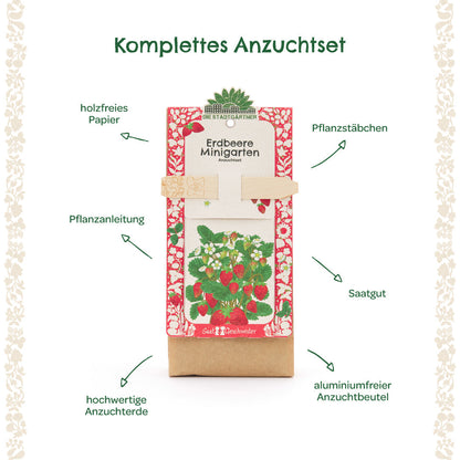 Anzuchtset – Minigarten Erdbeeren 