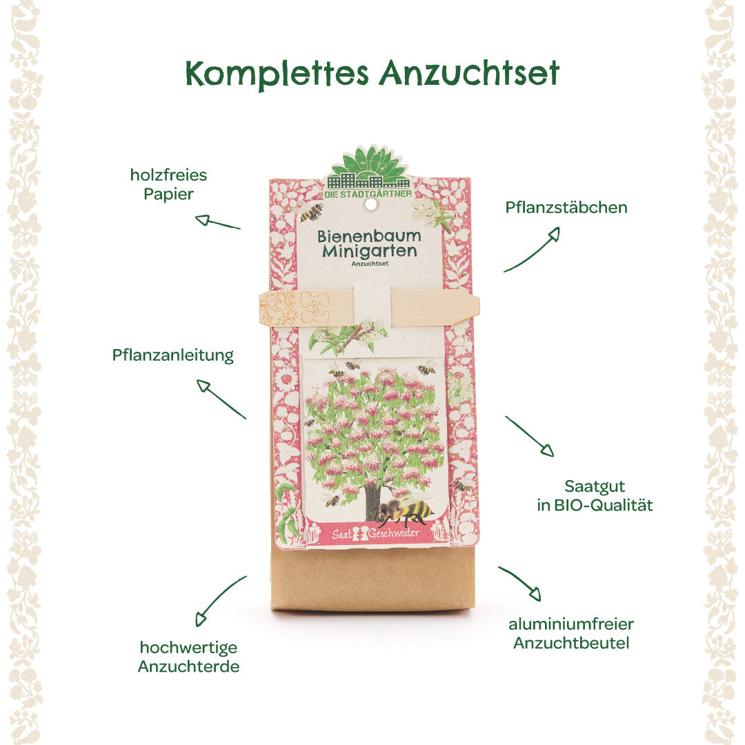 Anzuchtset Minigarten Bienenbaum 