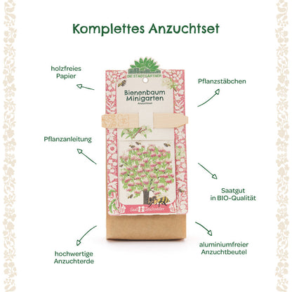 Anzuchtset Minigarten Bienenbaum 