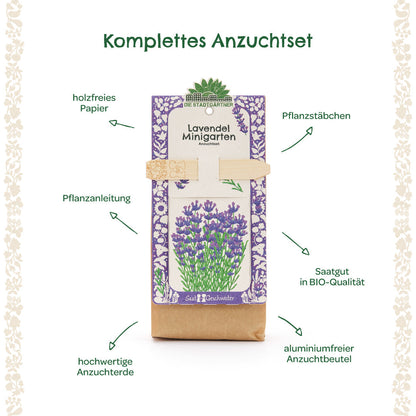 Anzuchtset – Minigarten BIO-Lavendel 