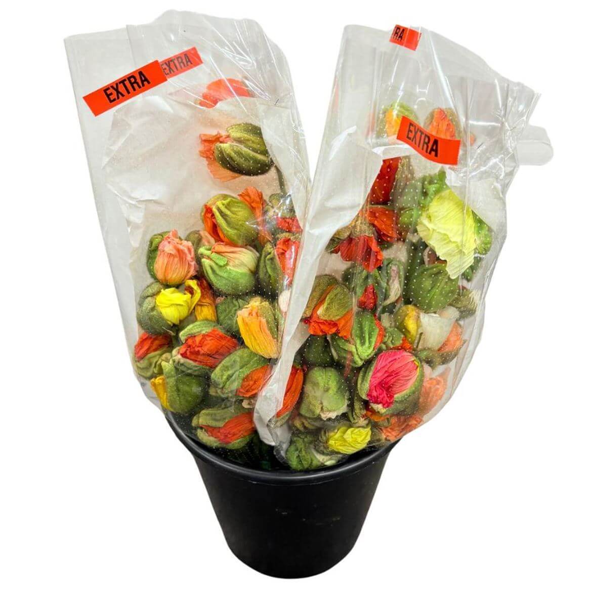 Mohn Blühend Papaver – Schnittmohn Knospenmix – 60cm Stiellänge – 150 Stiele für Floristik & Dekoration 