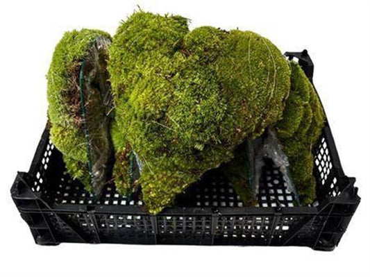 Moos Herz Bollmoos Big – Naturmoos Herzkranz ca.30cm – Dekoration aus echtem Moos für Floristik & Events 