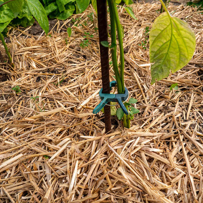 Strohmulch aus Gerstenstroh 8kg – Natürlicher Gartenmulch für Hochbeet Gemüse & Erdbeeren – Bodenabdeckung mit hoher Wasseraufnahme – Nachhaltig regional produziert