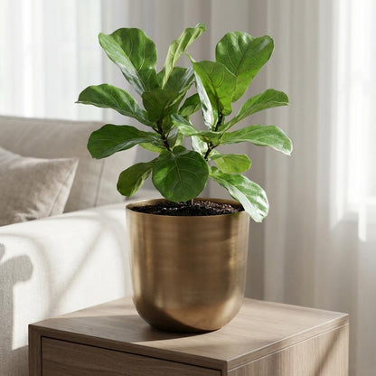 Pflanztopf Mayk Gold – D20cm x H22cm – eleganter Blumentopf mit Bronze-Gold-Optik – dekorativer Übertopf für Zimmerpflanzen Wohnzimmer & Büro 