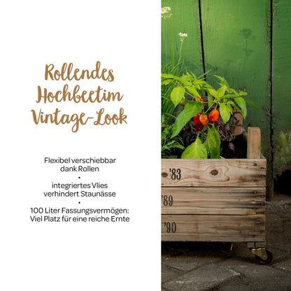 Rollendes Hochbeet aus Zwiebelsieben 