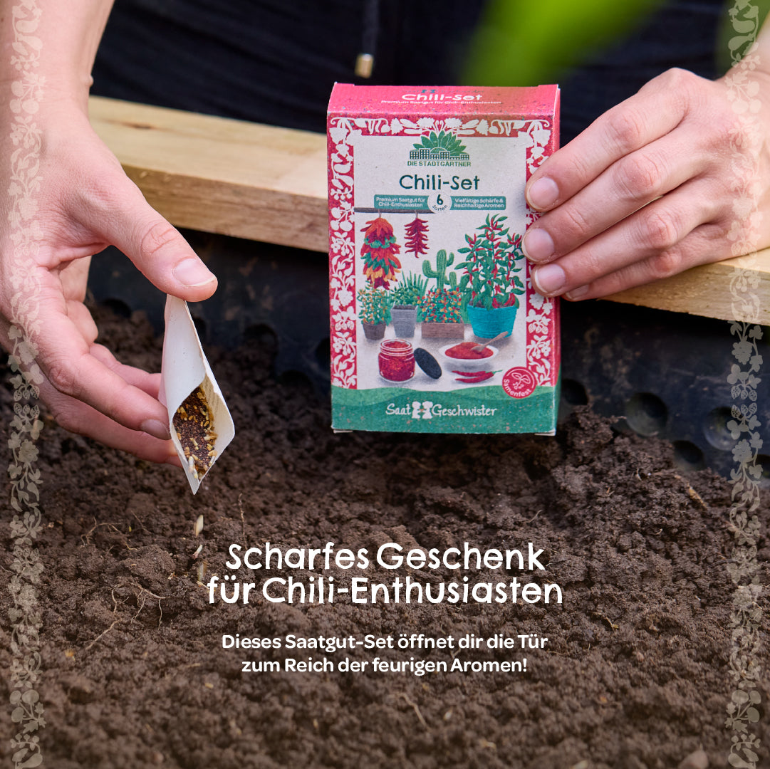 BIO-Saatgut-Set "Chili" 