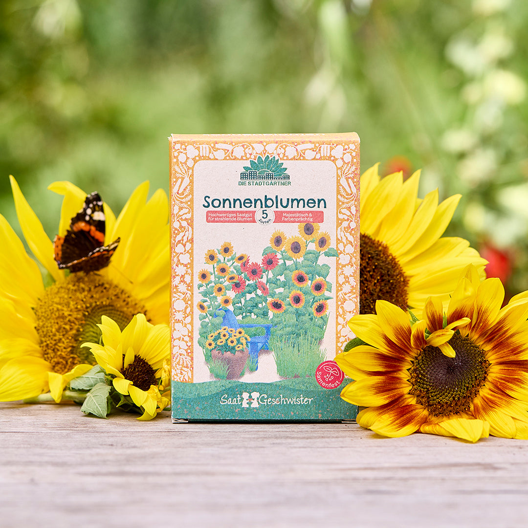 Saatgut-Set "Sonnenblumen" 
