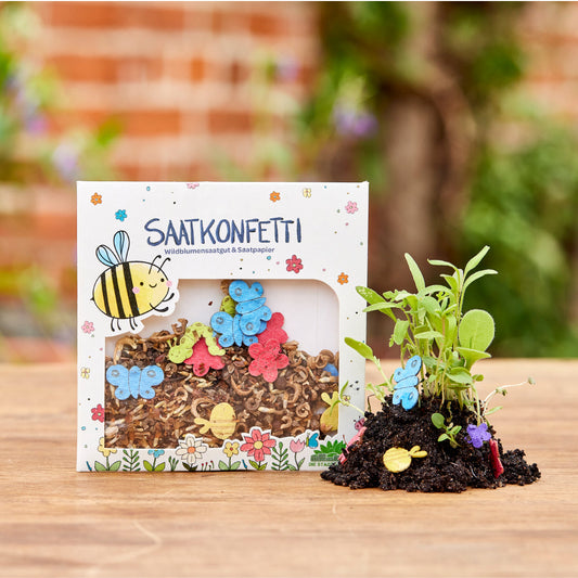 Buntes Saatgutkonfetti 