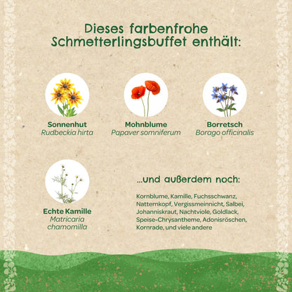 Saatkugeln "Schmetterlingswiese" 