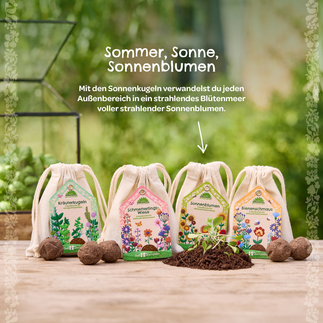 Saatkugeln "Sonnenblumen" 