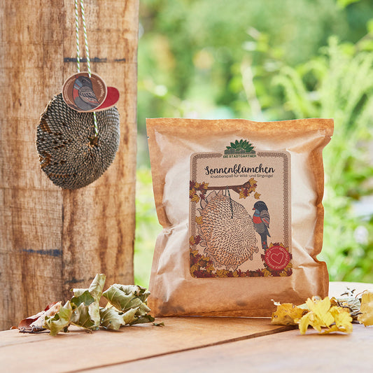 Sonnenblümchen – Snack für Vögel 