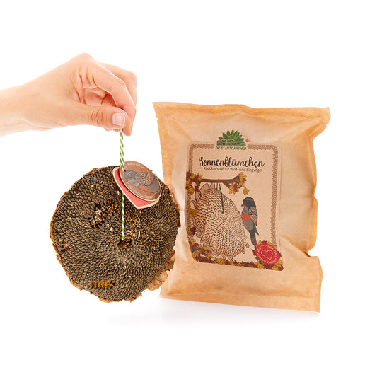 Sonnenblümchen – Snack für Vögel 