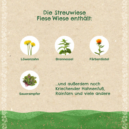 Streuwiese "Fiese Wiese" 