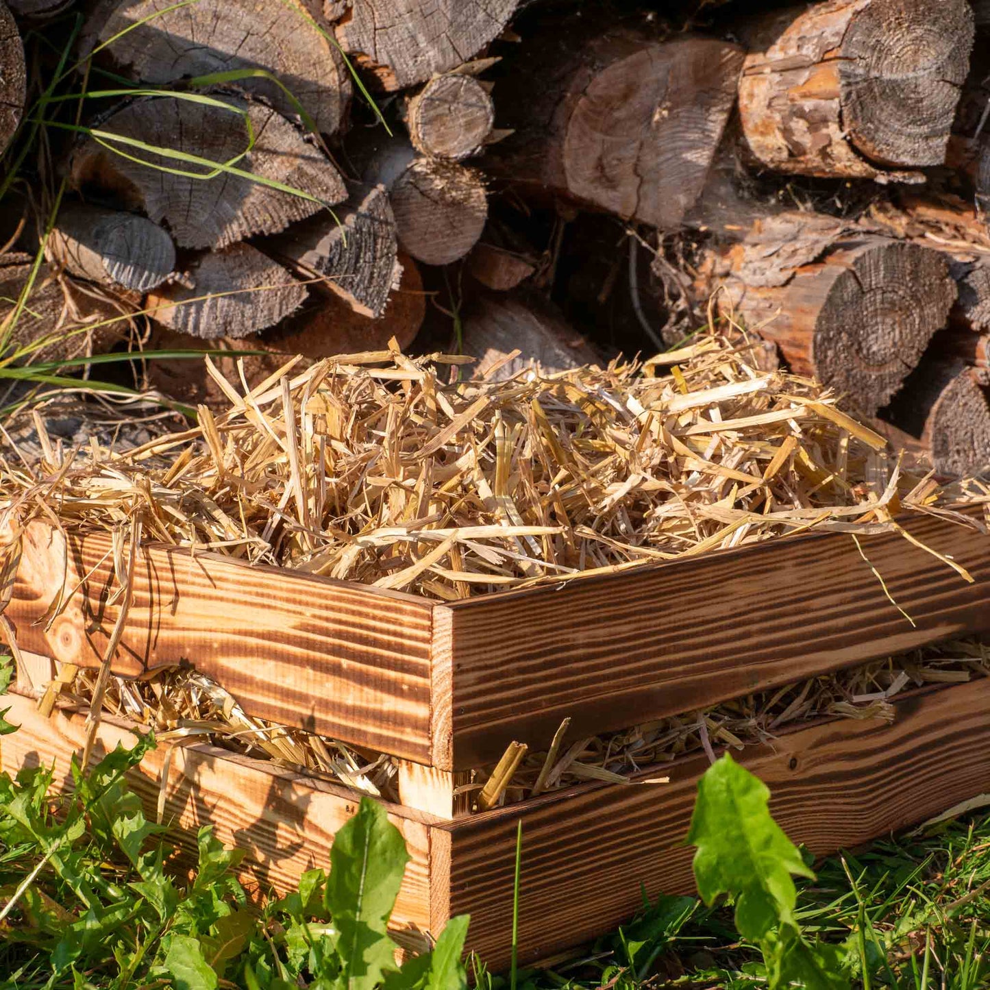 Garten Strohmulch aus Gerstenstroh – Natürlicher Mulch für Beete Hochbeet & Gemüse – Staubarm mit hoher Saugkraft – Nachhaltige Bodenabdeckung aus regionalem Anbau