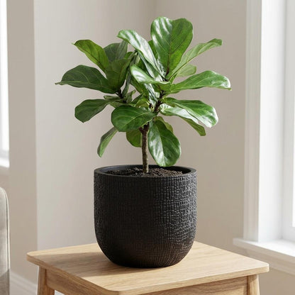 Pflanztopf Capi Bol Skin Anthrazit – D14cm x H13cm – Moderner Blumentopf mit Hautstruktur – Für Innen & Außen – Leicht & robust – Zeitloses Design 