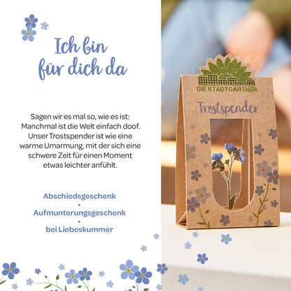 Trostspender – Echtes Vergissmeinnicht 