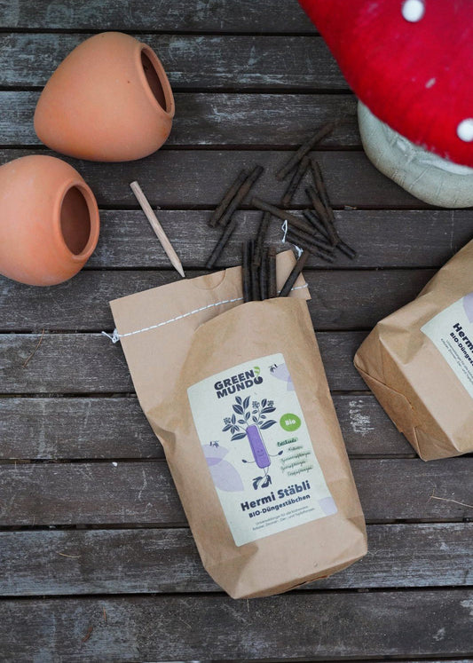 Hermi Stäbli organische Düngestäbchen ca.220Stk – Langzeitdünger mit Chitin für Zimmerpflanzen Balkon & Kräuter – 100% organischer NPK Dünger mit Einsteckhilfe