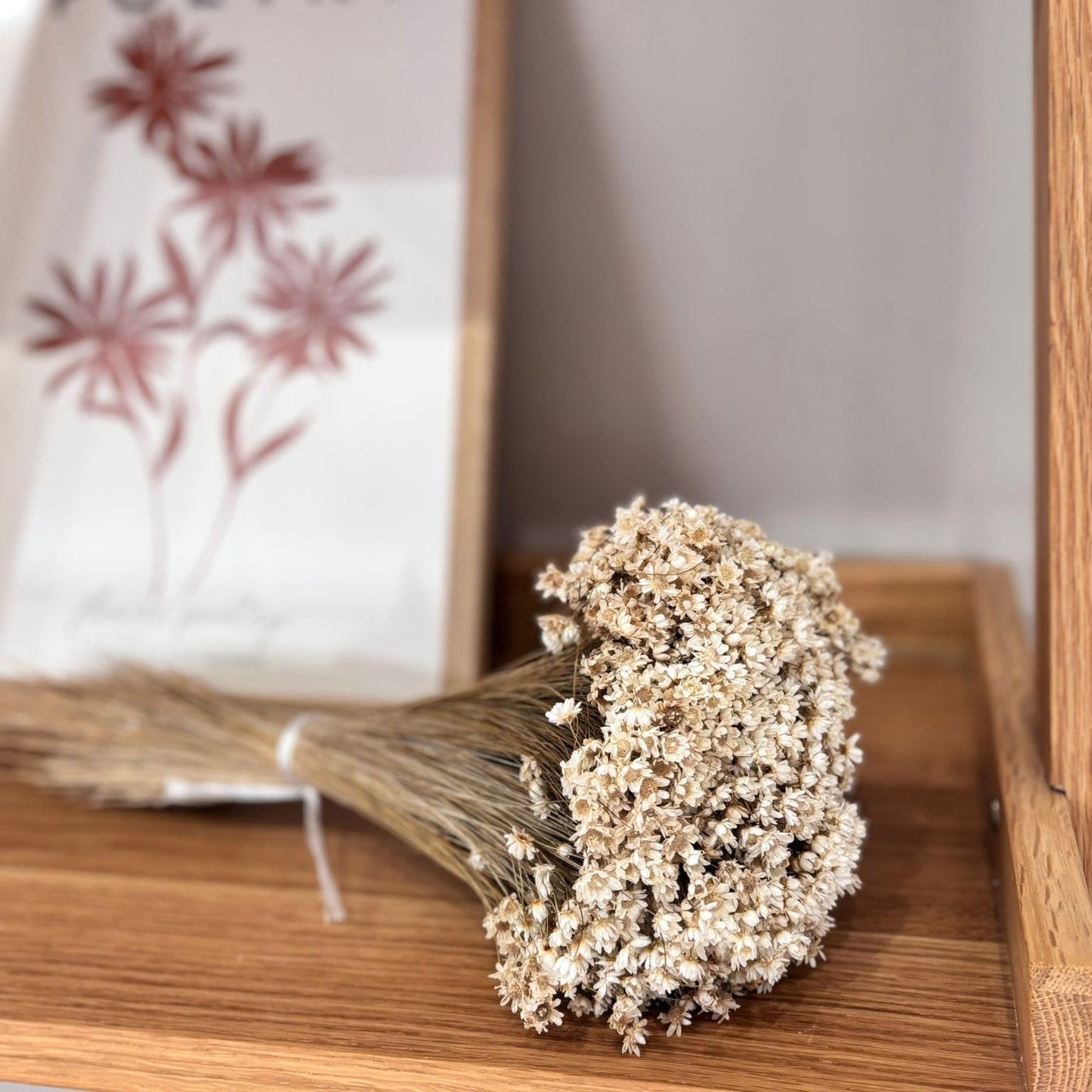 Glixia in cremeweiss - Outlet 