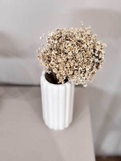 Glixia in cremeweiss - Outlet 