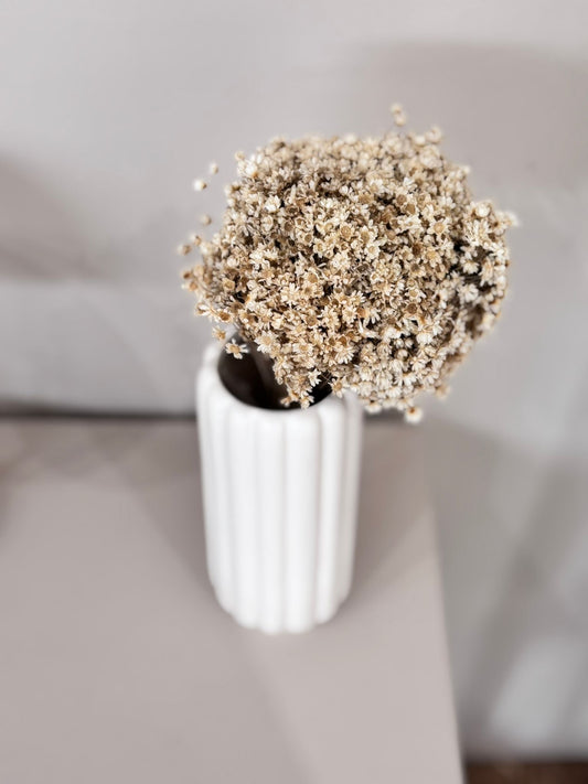 Glixia in cremeweiss - Outlet 