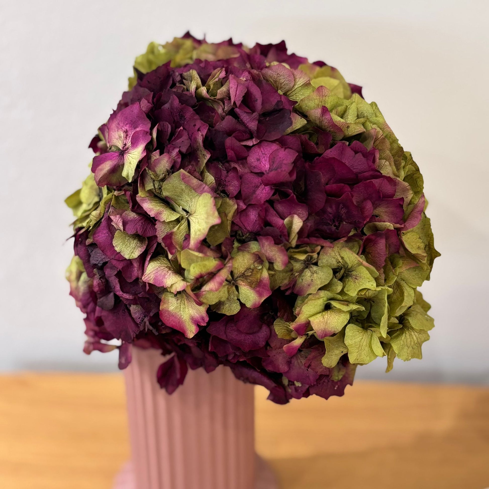 Hortensie: Zeitlose Schönheit, konservierte Hortensien als perfekte Dekoration 