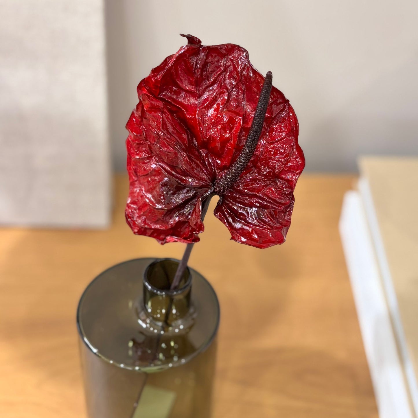 Anturie konserviert einzeln 