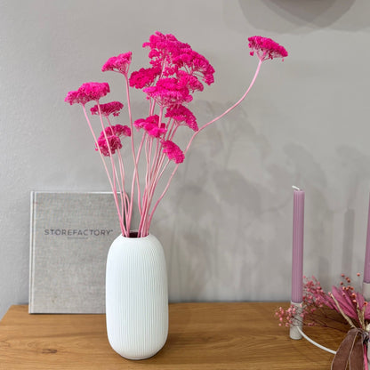 Schafgarbe getrocknet | Achillea 