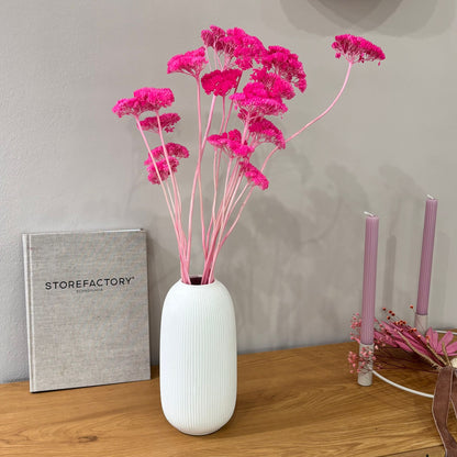 Schafgarbe getrocknet | Achillea 