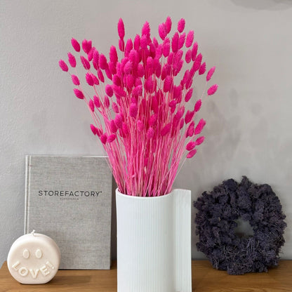 Phalaris I Kanariengras: Vielseitiger Allrounder für Deine Trockenblumen-Dekoration 