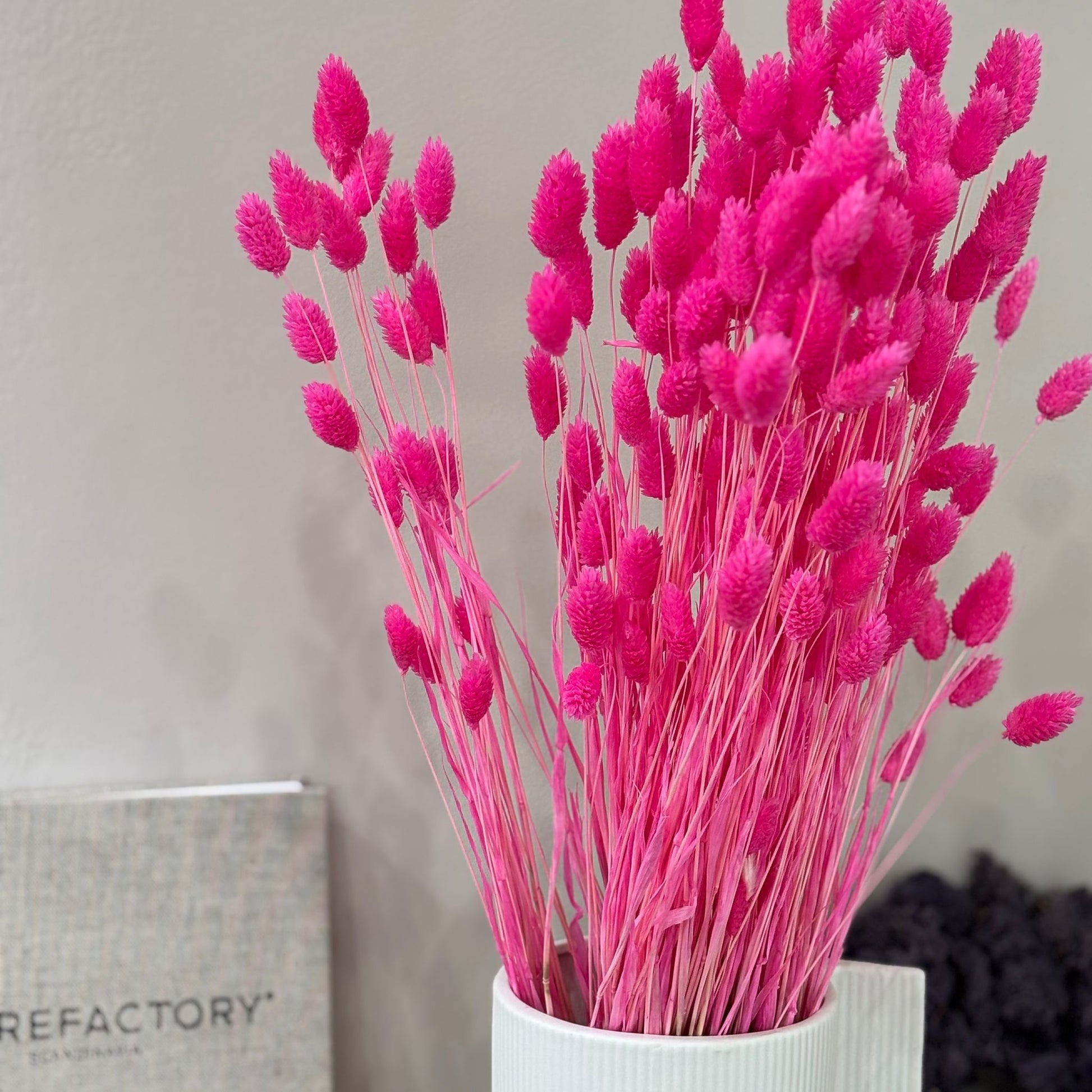 Phalaris I Kanariengras: Vielseitiger Allrounder für Deine Trockenblumen-Dekoration 