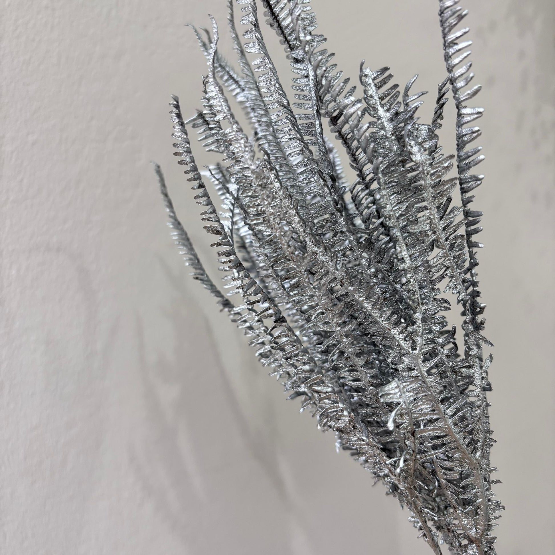 Konservierter Farn: Zauberhafte Momente für Dein Zuhause 