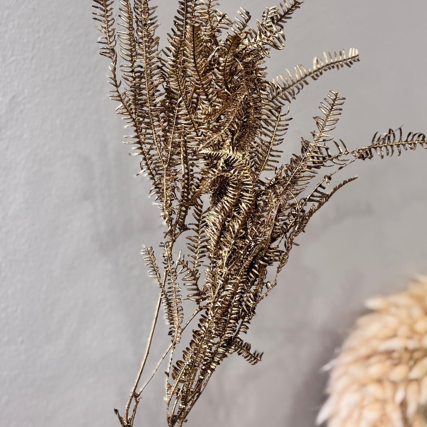 Konservierter Farn: Zauberhafte Momente für Dein Zuhause 