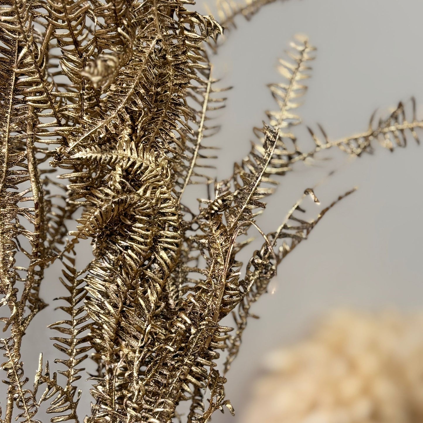 Konservierter Farn: Zauberhafte Momente für Dein Zuhause 